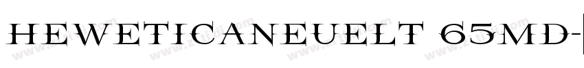HeweticaNeueLT 65Md字体转换